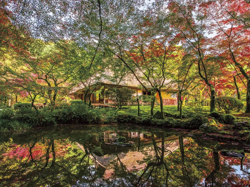 Autumn foliage at “Kunen-an” & Jufuku-ji “Reversed Autumn Leaves”(1-Day)