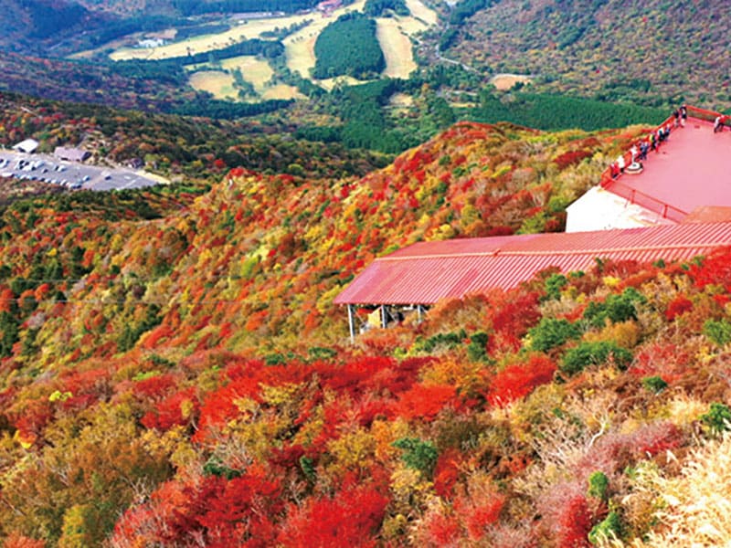 Try Nagasaki beef! Unzen Ropeway and Shimabara(1-Day)