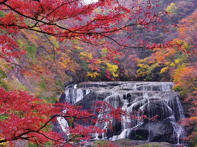 Autumn Foliage at Fukuroda Falls & Hananuki Valley & Ryujin Gorge