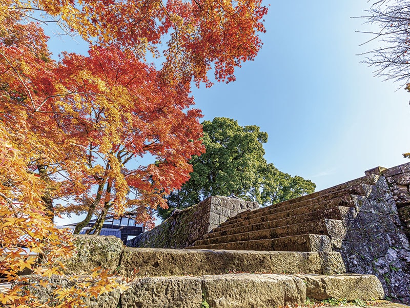 Explore Oita's Two Renowned Castles and Akizuki Castle Ruins(2-Days)