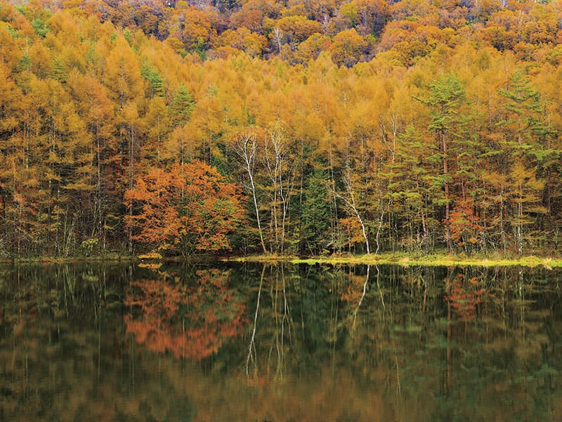 Autumn in Nagano; Mishaka Pond・The Moss Forest・Shirakoma Pond(1-Day)