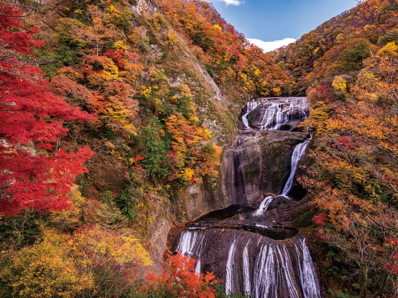 Autumn Foliage at Fukuroda Falls & Hananuki Valley & Ryujin Gorge(1-Day)