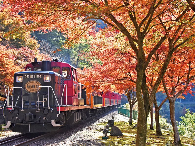 Sagano Romantic Train&Fall Foliage in Oku-Tamba(1-Day)