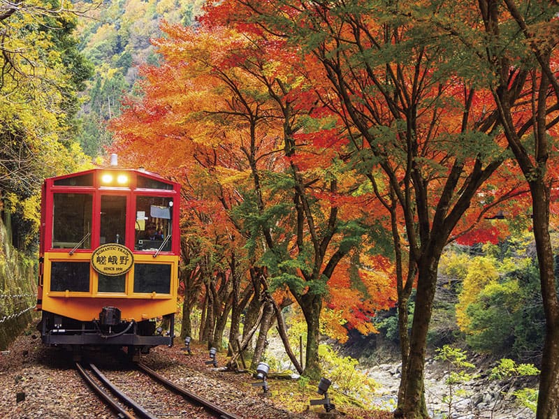 Sagano Torokko Train and Hozu River Boat Ride in Autumn Colors with Italian Lunch Course Day Trip (1-Day)