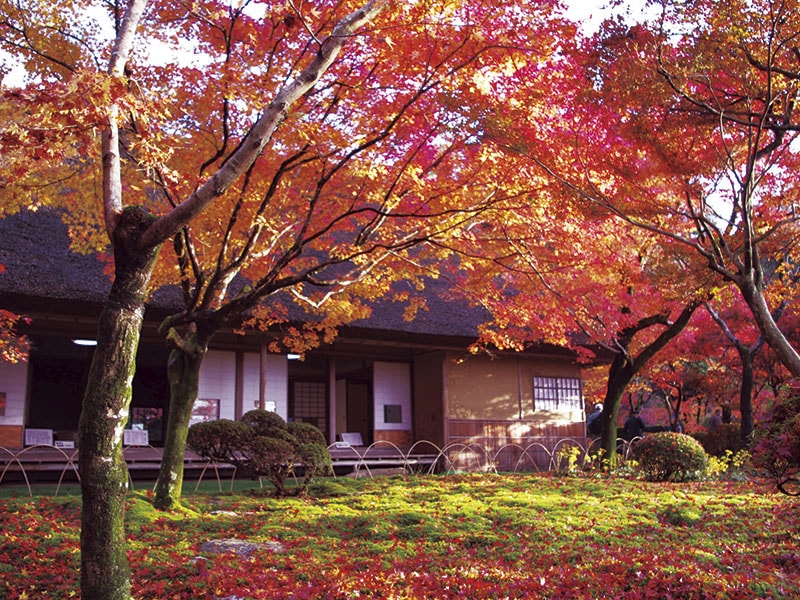 Kunenan Garden & Mifuneyama Rakuen. View autumn leaves in Saga(1-Day)