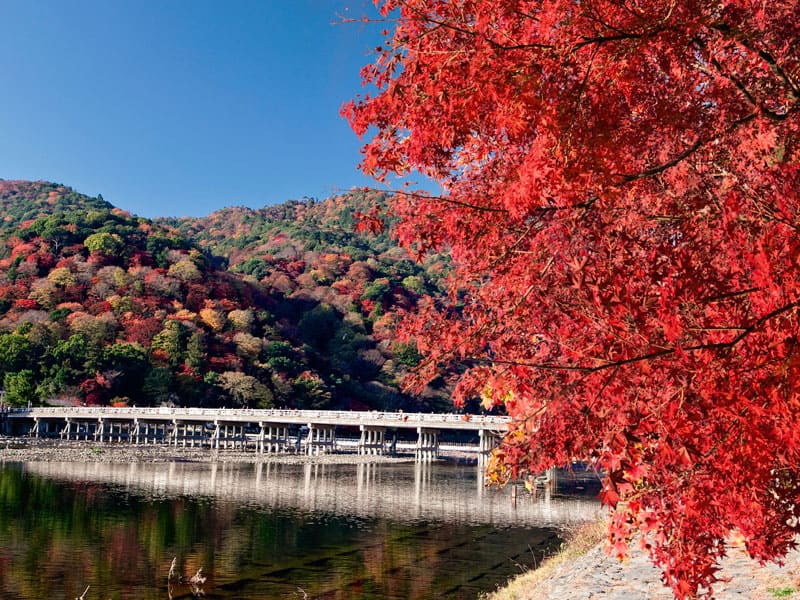 Visit autumn Arashiyama・Ohara Sanzen-in・Kodai-ji Temple・Komyo-ji Temple(1-Day)