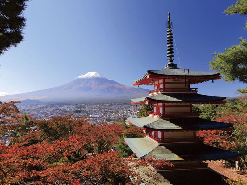 Arakurayama Sengen Park & Fujikawaguchiko Autumn Leaves Festival(1-Day)