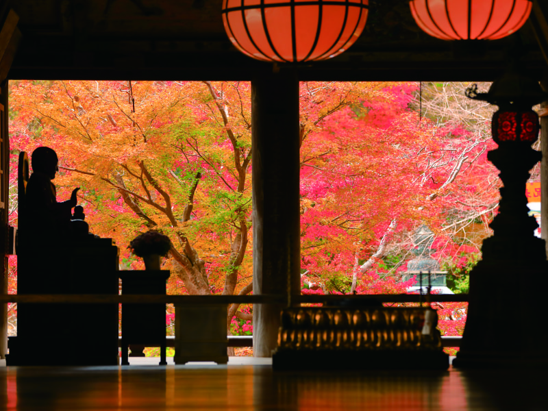 Four autumn foliage spots along the Nara Yamato Road (1-Day)