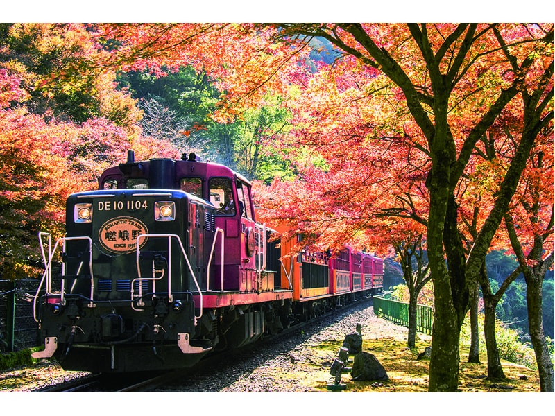 Visit 3 famous autumn foliage spots in Kyoto &Sagano Romantic Train