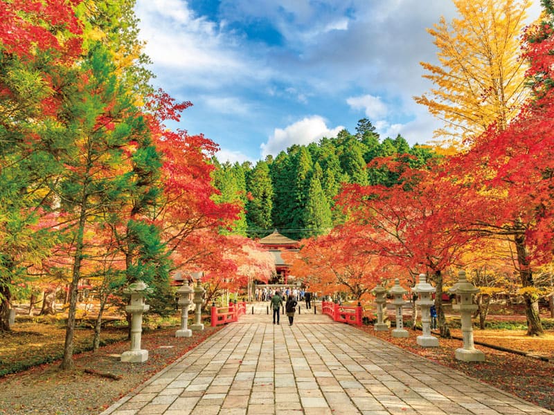 World Heritage Site Koyasan in Autumn &Matsutake mushroom cuisine(1-Day)