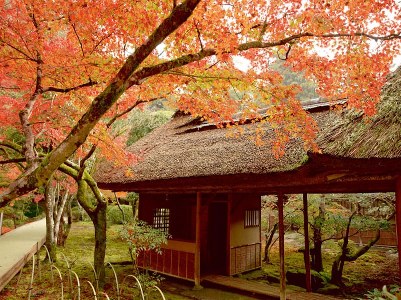 Enjoy Saga Beef & Autumn Foliage During the Public Opening of Kunen-an(1-Day)