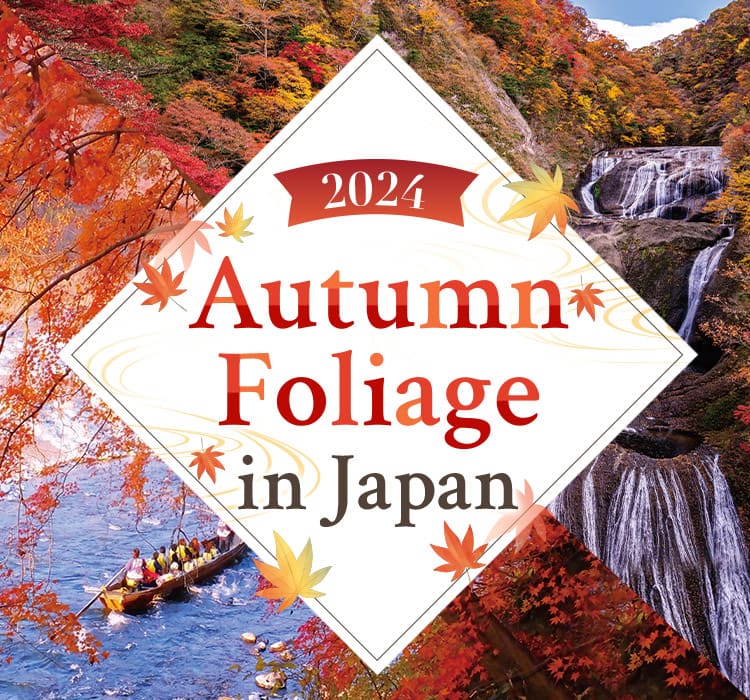 2024 Autumn Foliage in Japan