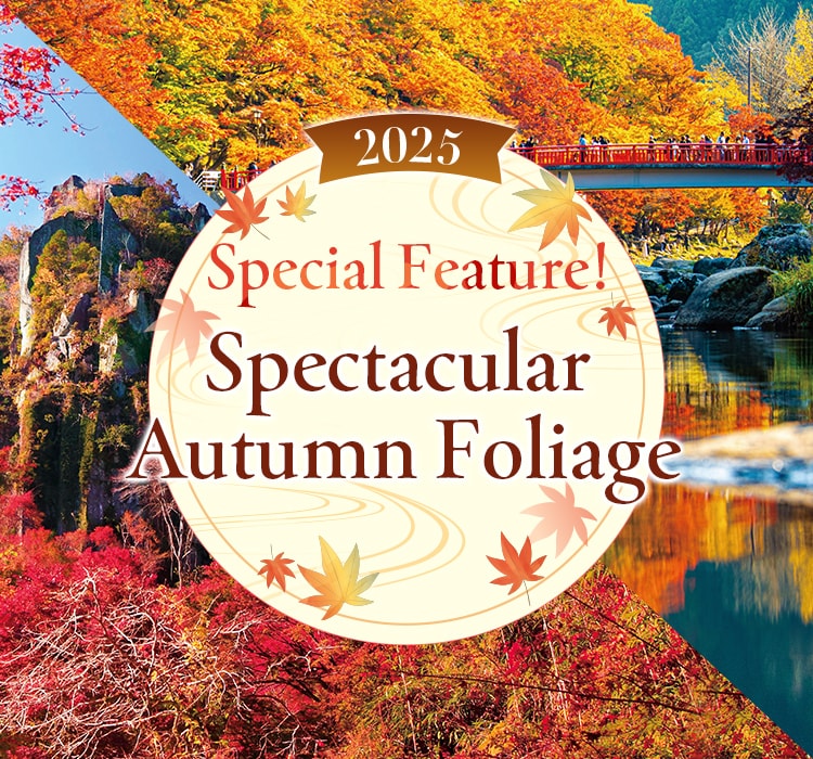 Special Feature! Spectacular Autumn Foliage