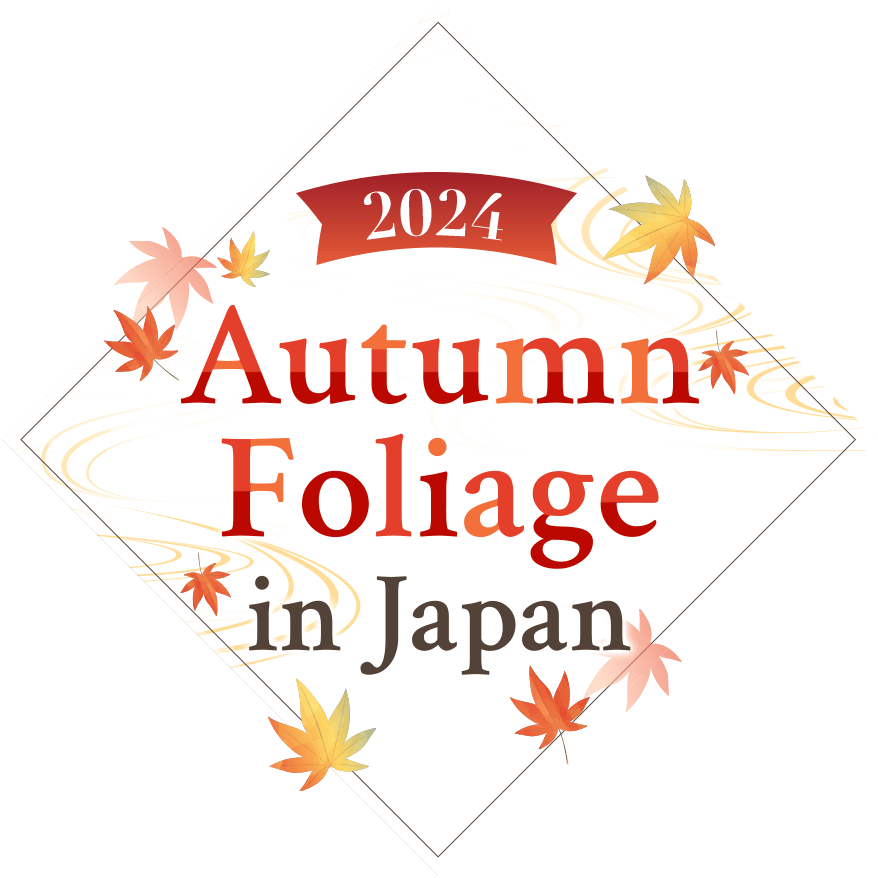 2024 Autumn Foliage in Japan