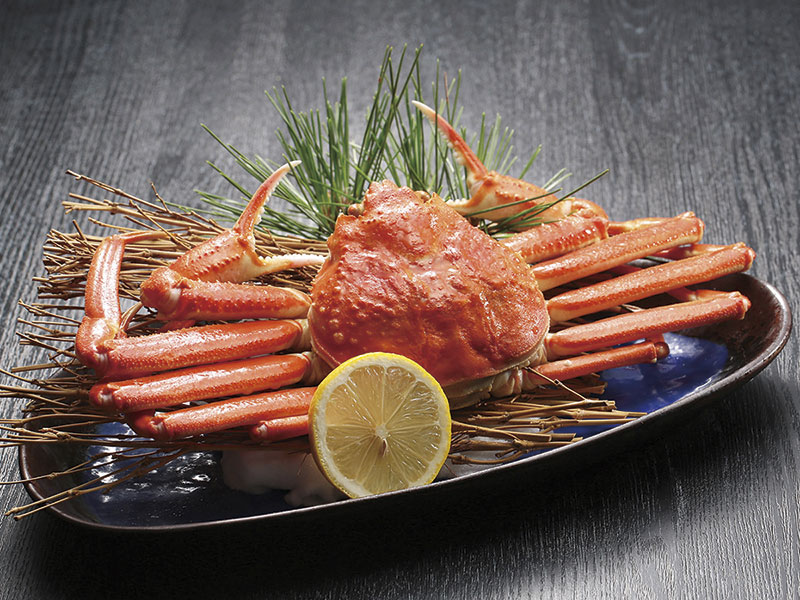 Feast of Snow Crab & Tamba Botan Hot Pot & Explore Kinosaki Onsen(1-Day)