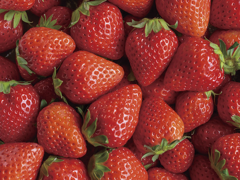 All you can eat strawberry picking＆Enjoy Local dish 