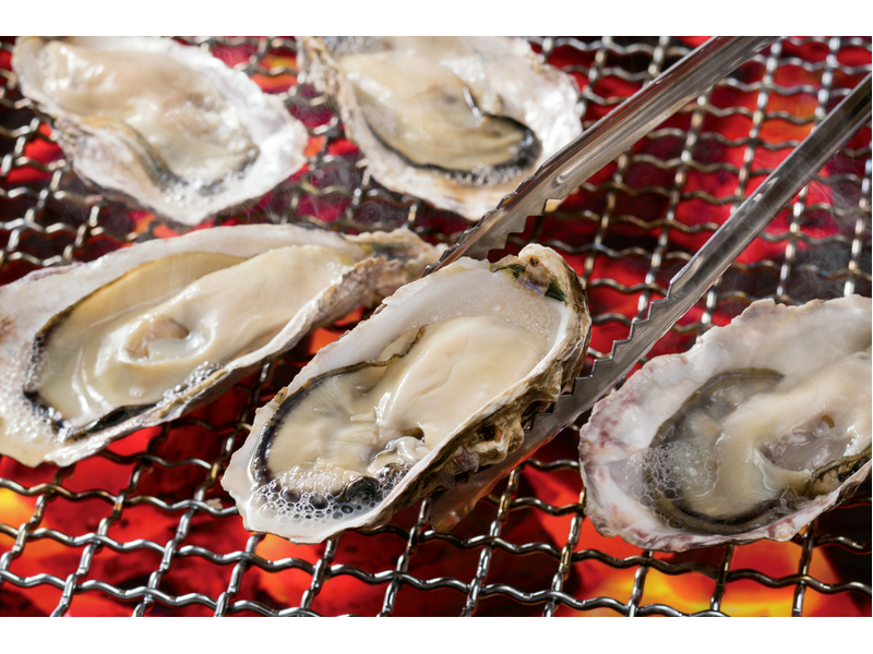 Visit Sakurai Futamigaura & Enjoy Oyster Lunch (1-Day)