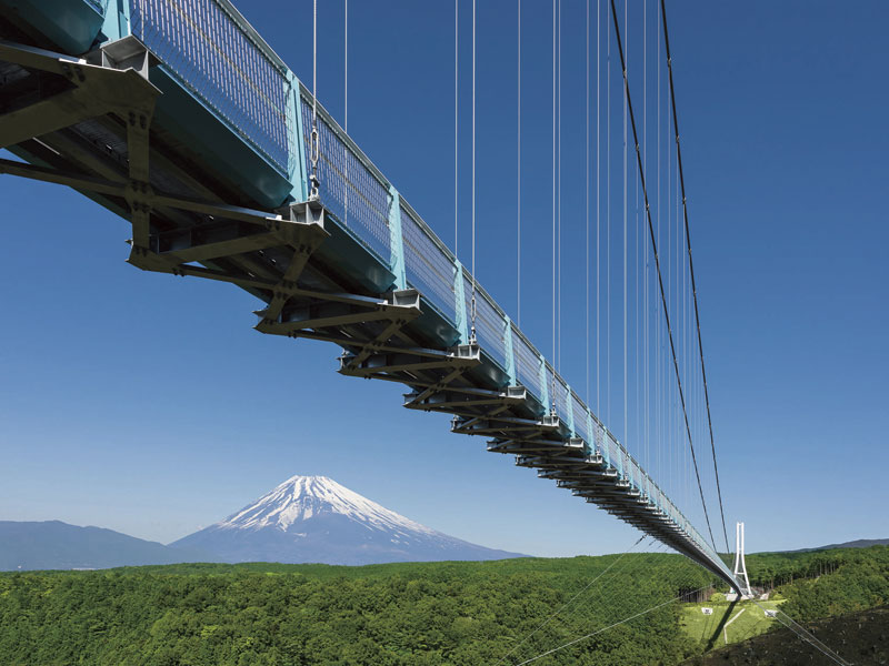 Visit AO TERRACE & Mishima Sky Walk. With round trip ropeway(1-Day) 