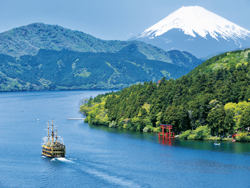 Explore 4 Hakone attractions＆Enjoying Kawazu Cherry Blossoms（2-Days）