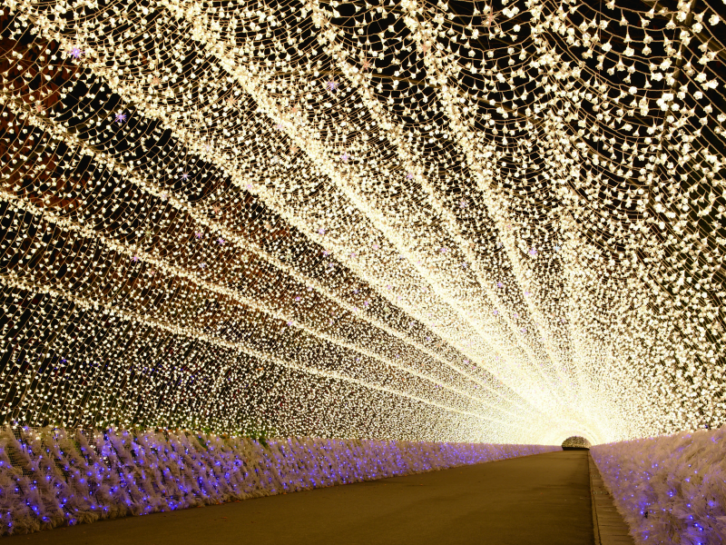 Enjoy Winter Illumination of Nabana no Sato (1-Day)