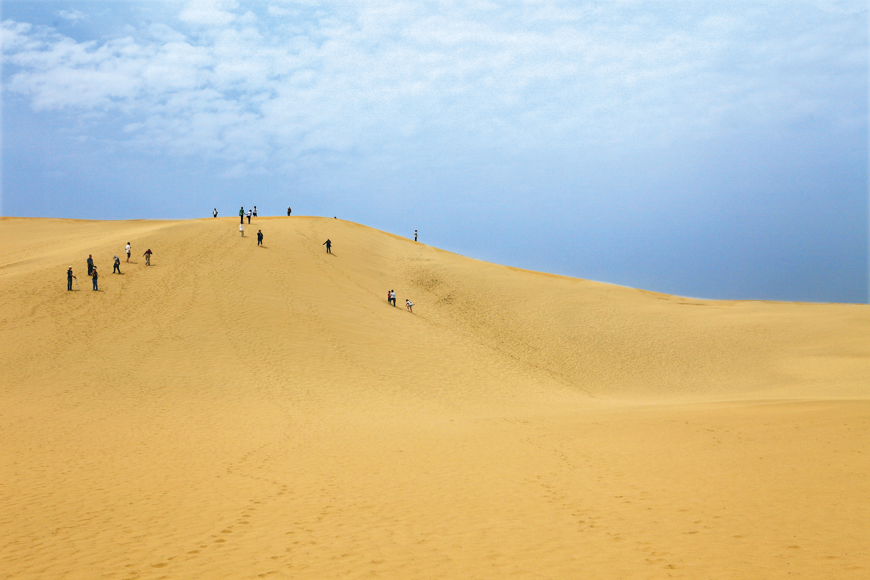 Snow Crab Feast&Tottori Dunes&Yumura Onsen Experience(1-Day)