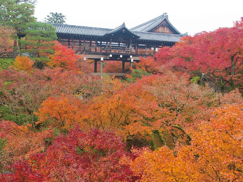 Tofuku-ji Temple 