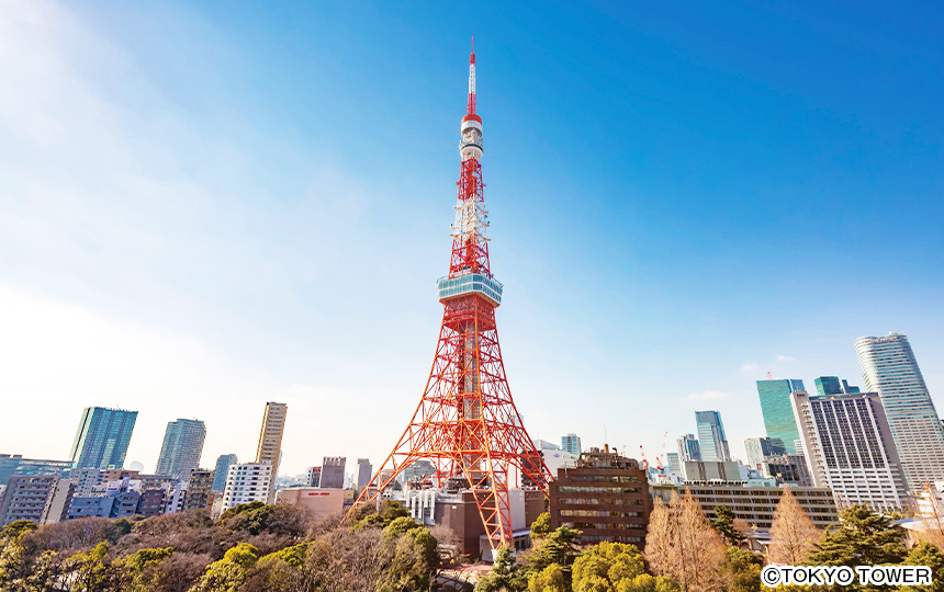 Tokyo Highlight half-day tour