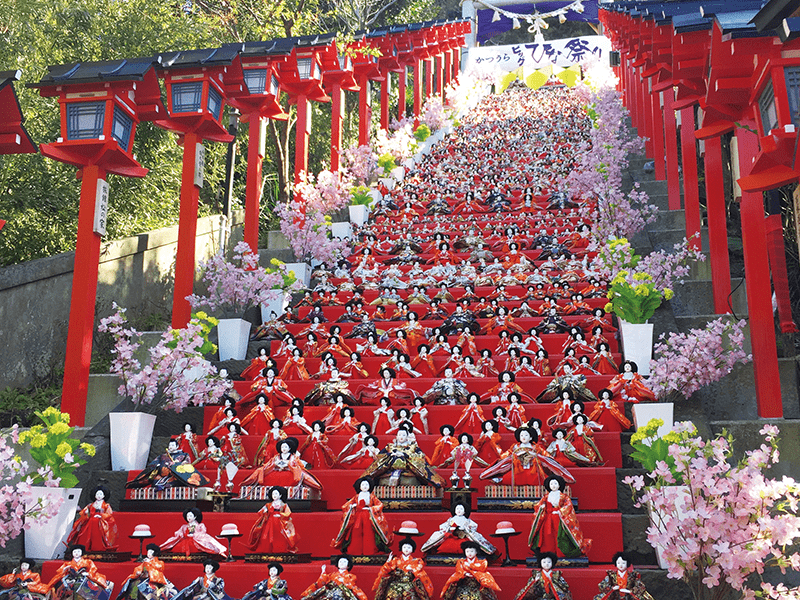 Yoritomo Cherry blossom festival & Katsuura Hina Festival & set lunch in Chiba Pref. (1-Day)
