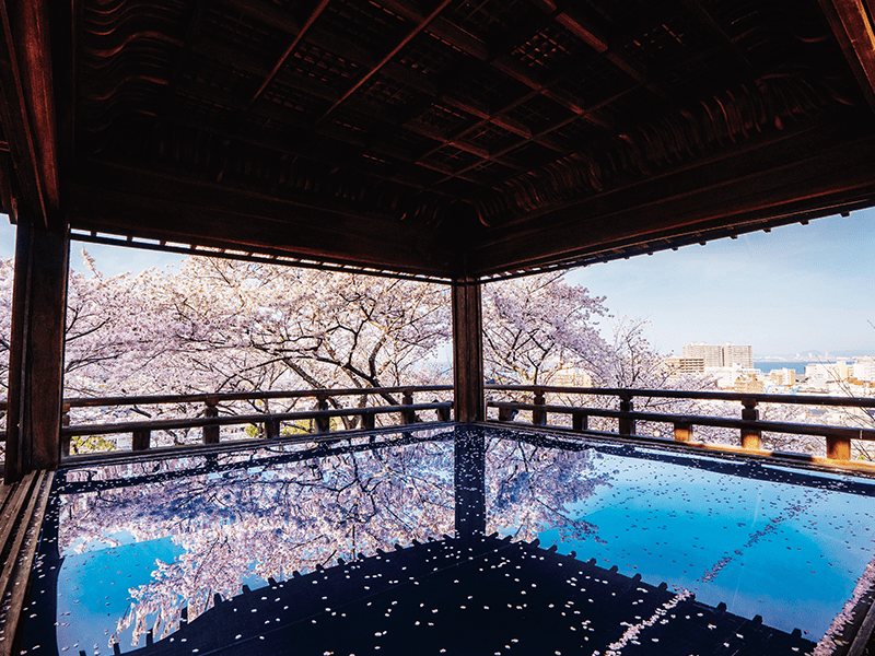 Buffet lunch & cherry blossom viewing at Kangetsu Butai of Miidera Temple (1-Day)