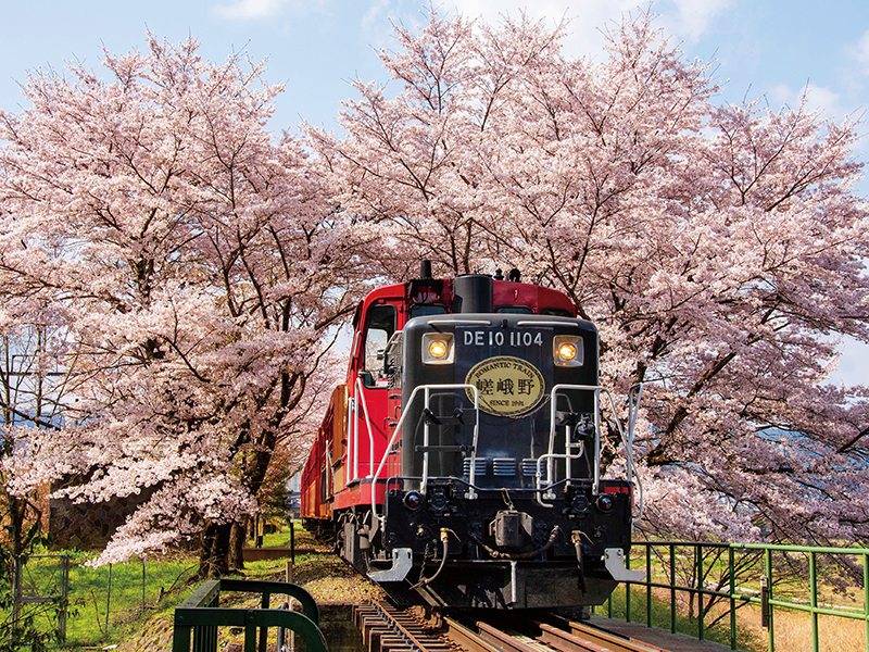 Sagano Romantic Train・ Eizan Cable Car & Eizan Ropeway: 3 scenic tours & Kyoto cuisine buffet in Arashiyama (1-Day)