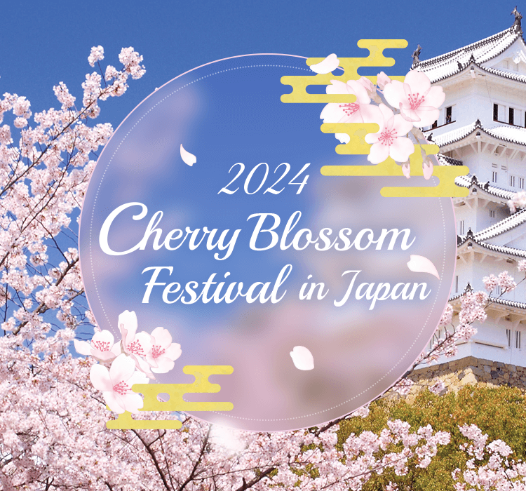 2024 Cherry Blossom Festival in Japan