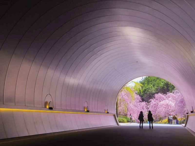 Visit MIHO MUSEUM & Enjoy lunch buffet at Lake Biwa Otsu Prince Hotel (1-Day) 