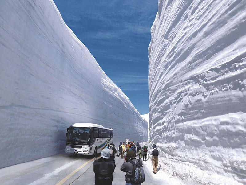 Visit Tateyama! Dynamic Yuki-no-Otani(Snow Wall) Walk (1-Day)