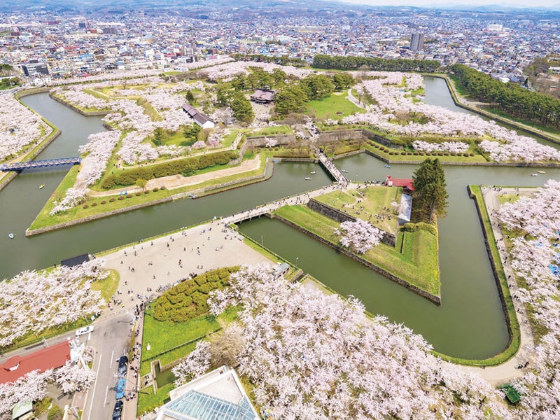 Visit 3 Cherry blossom viewing spots and Goryokaku Park (1-Day)