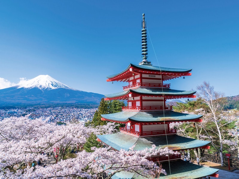 Cherry blossom viewing from Arakurayama Sengen Park & Lake Kawaguchi pleasure boat (1-Day)