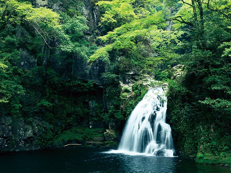 Visit Akame 48 Waterfalls & Enjoy Japanese shaved ice & Hotel lunch buffet (1-Day)