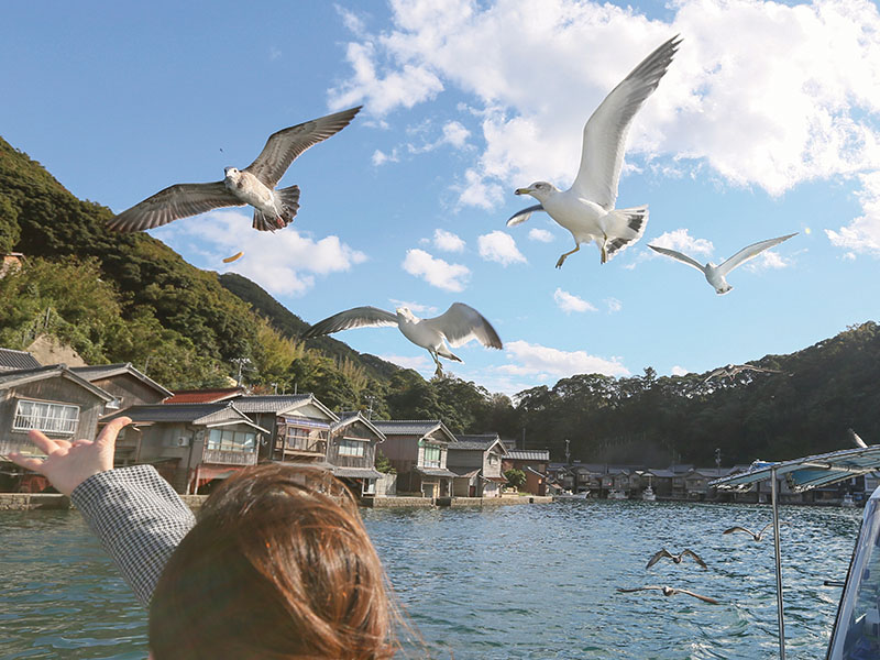 Ine Bay Boat Tour