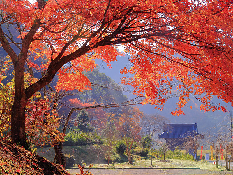 Kozo-ji Temple