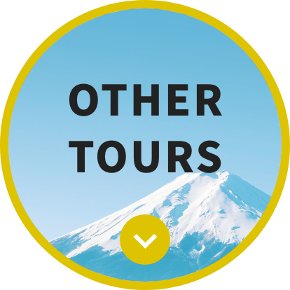 OTHER TOURS