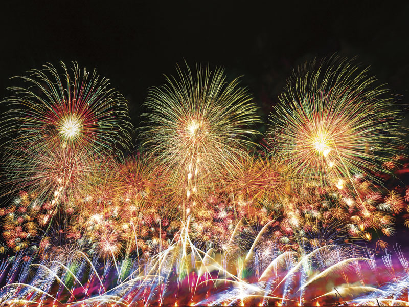 [For solo female participants only] A once-in-a-lifetime summer festival: Omagari Fireworks Festival, the 98th All Japan Fireworks Competition, 2 days (20625XB)