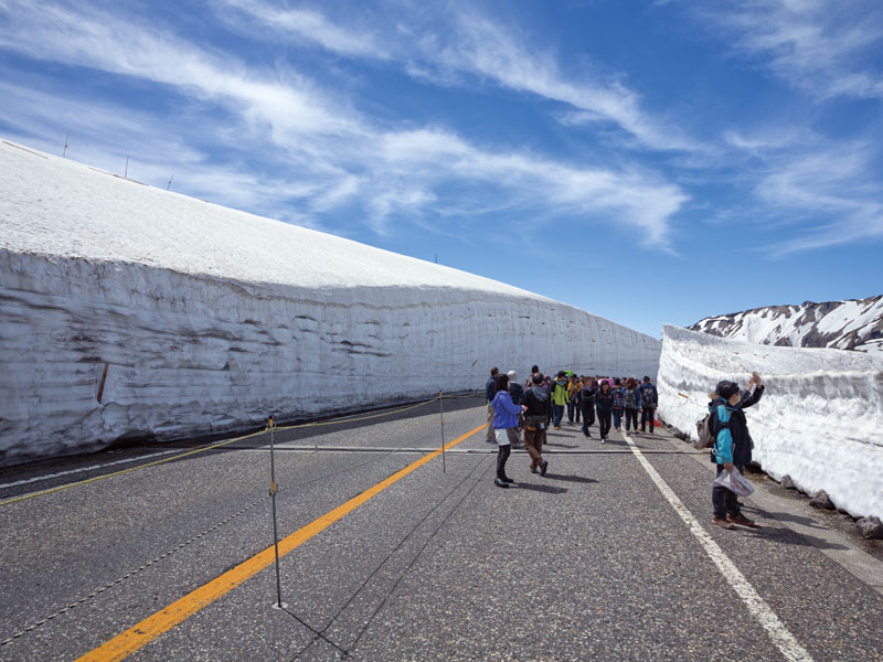 Visit Tateyama! Dynamic Yuki-no-Otani(Snow Valley) Walk (1-Day)