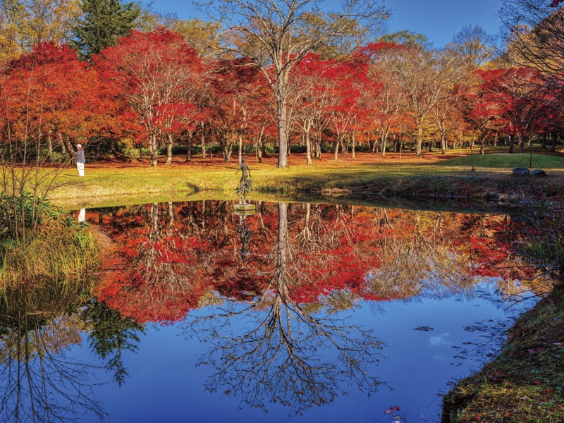 染上紅色的福原山莊與欣賞水邊紅葉的然別湖遊覽 一日遊