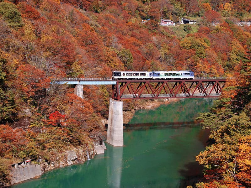 【來回乘坐新幹線】楓紅的Oza-Toro展望列車&大内宿與塔之岪 一日遊