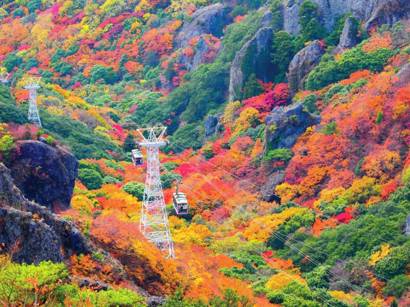 秋色島嶼絕景之旅！小豆島・寒霞溪 一日遊