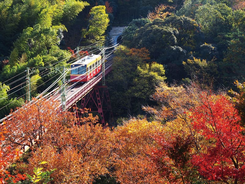 嵯峨野遊覽小火車・宇治川遊覽小舟・石清水八幡宮参道纜車 暢遊京都的3個賞楓名所 一日遊