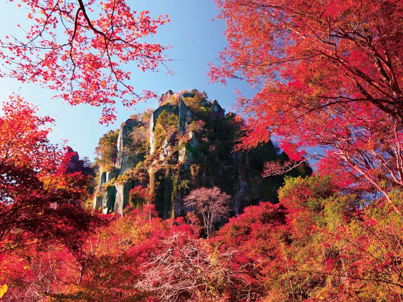 秋季的耶馬溪楓紅絕景・中津市周遊之旅 一日遊