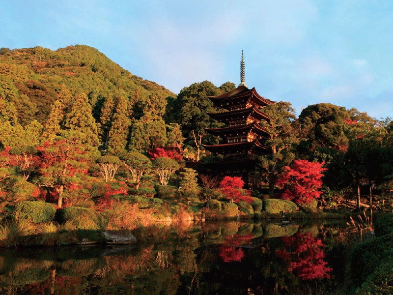 ～秋日芬芳～暢遊日本國寶「瑠璃光寺　五重塔」與大寧寺・秋芳洞 一日遊