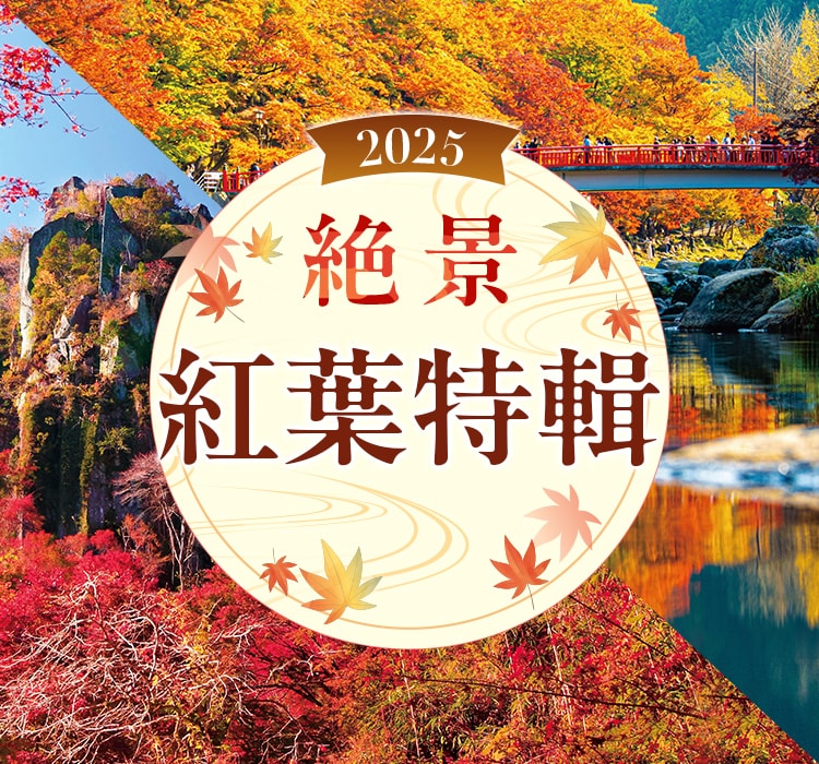 2025 絶景紅葉特輯