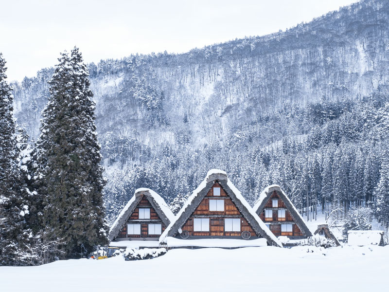 【入住全包式酒店】暢遊白川鄉・飛驒高山・兼六園・東尋坊・瑞龍寺＆品味本雪蟹・飛驒豬・近江牛等大餐 2日遊
