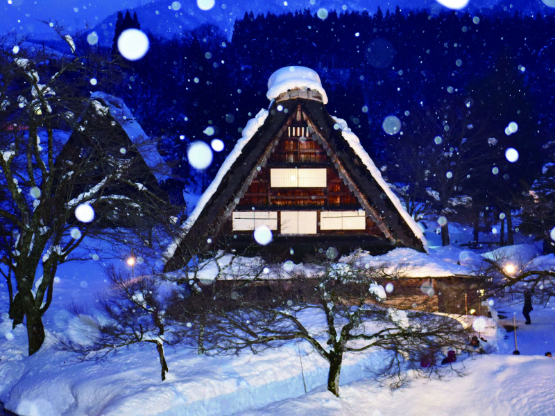 白川鄉民家園特別點燈！白川鄉・五箇山2個世界遺產＆飛驒高山之旅 2日遊